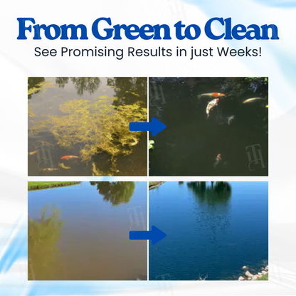 Kindpirit® The guardian angel of water quality Pro Formula– End Algae Nightmares, Restore Your Pond’s Beauty Fast!